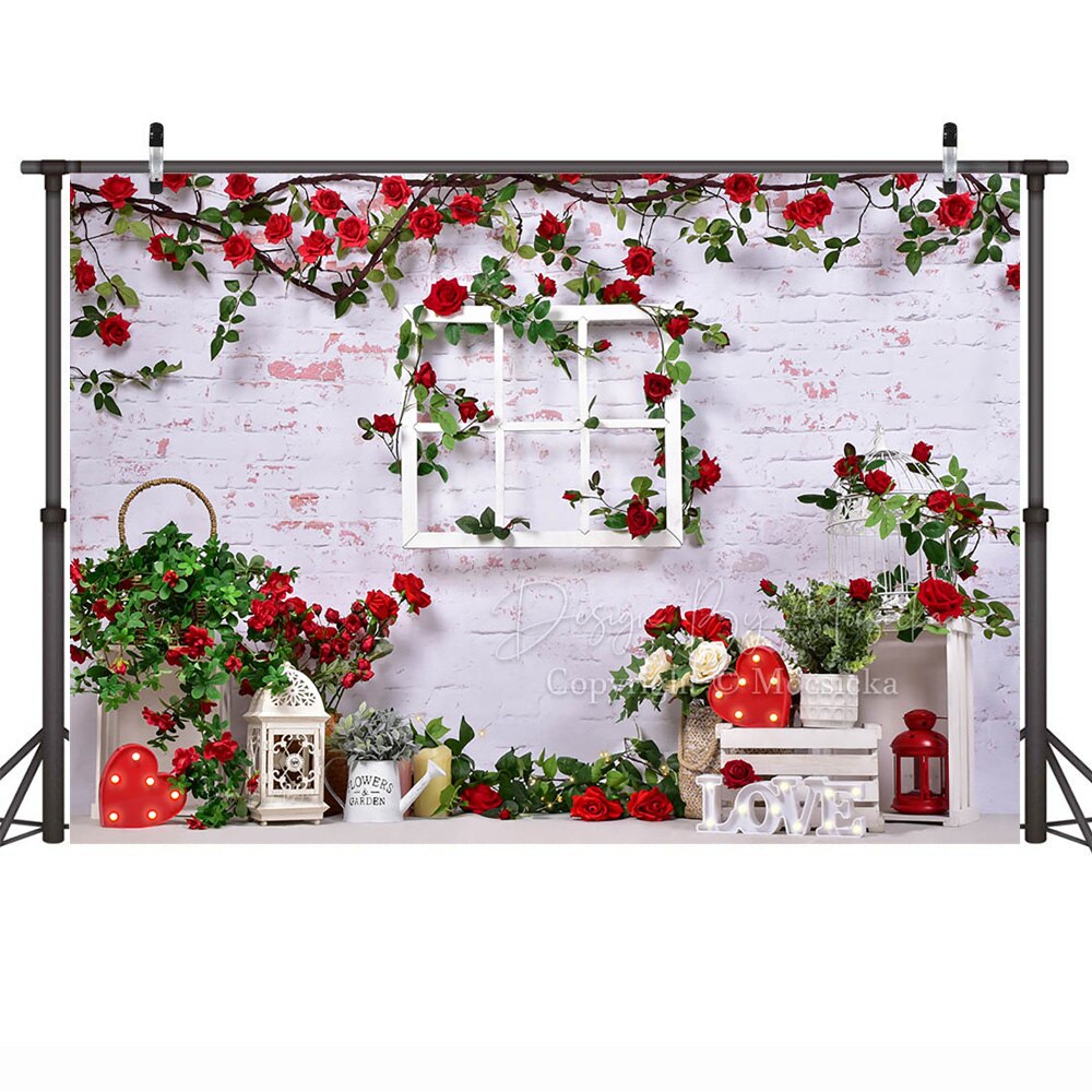 Valentine's Day Photography Backdrop Romantic Red Rose Wedding Portrait Background Photo Window Love Bridal Shower Photocall