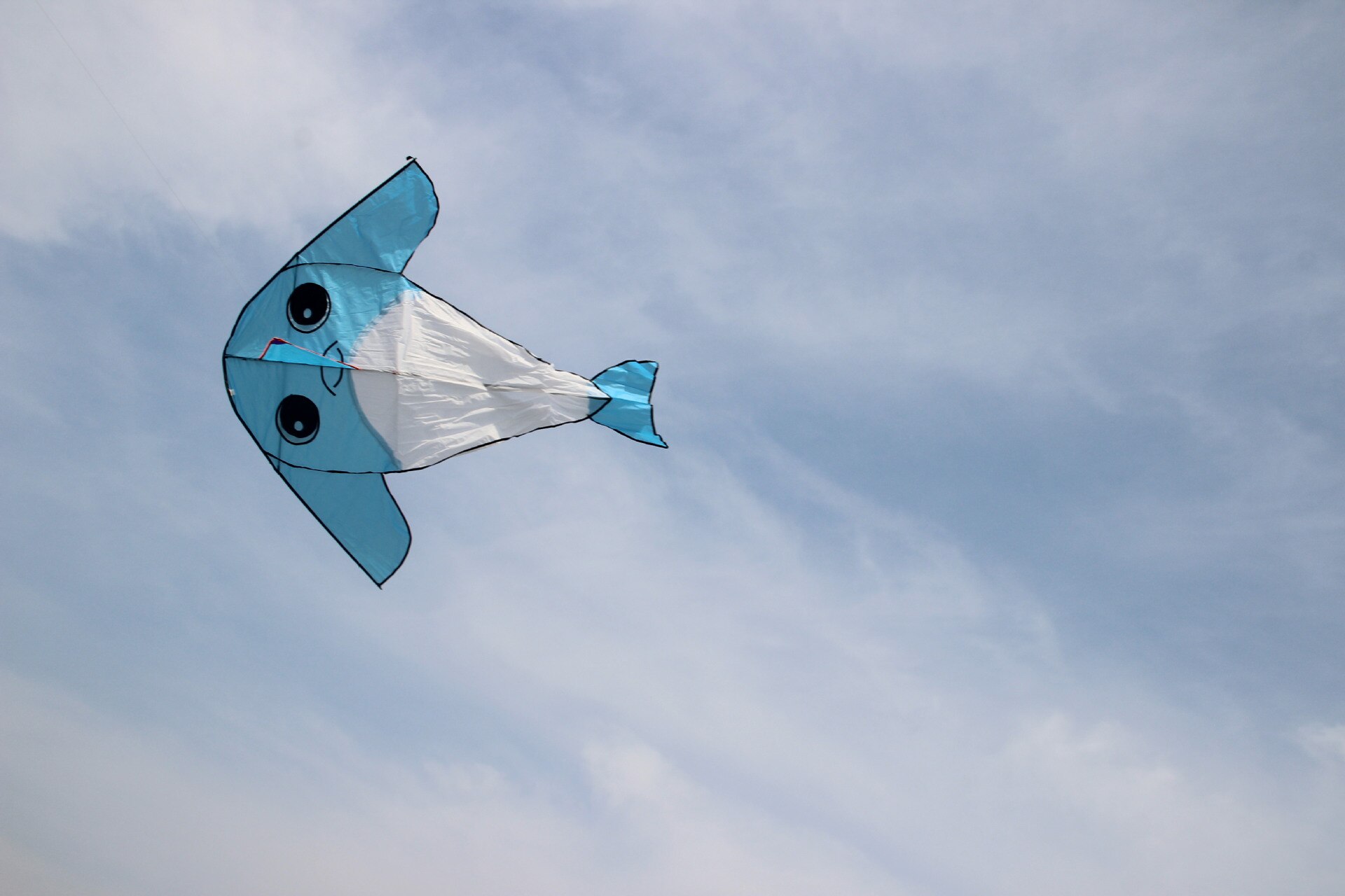 Dolphin Kite - Easy to Fly Outdoor Sport Toy - Fun for Kids & Adults - Durable Polyester