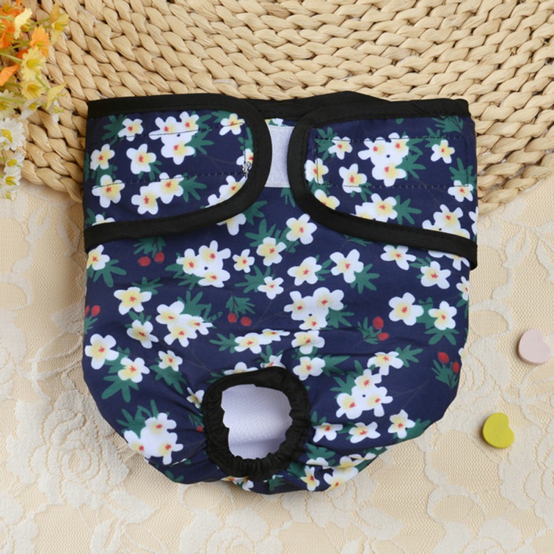Couche-culotte physiologique pour chien, culotte pour chien, sous-vêtements pour chiens, fournitures pour animaux de compagnie,: DL / XS