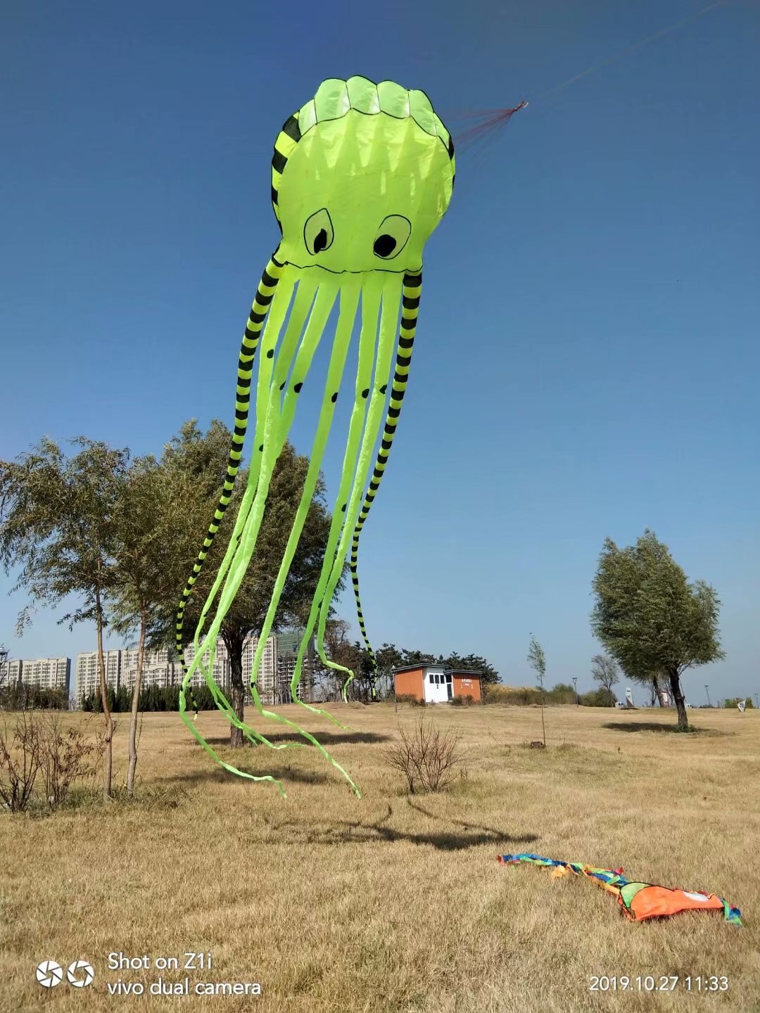 Cerf-volant en forme de poulpe 3D pour enfants, avec poignée, gonflable, 8m, avec spectacle,