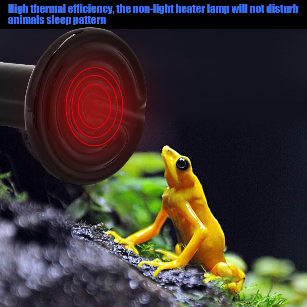 Reptiel Gloeilamp Warmtelamp Infrarood Verwarming Keramische Emitter Schildpad Snake Huisdier Verwarming Lamp Temperatuur Controller