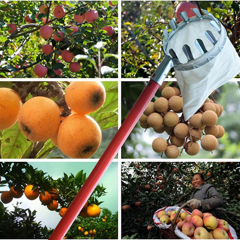 Fruit Picker Head Basket Portable Fruits Catcher For Harvest Picking Citrus Pear Collector Catcher Peach Picking Garden Tool