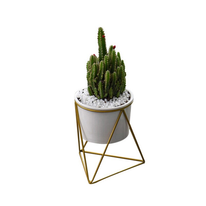 Cactus Tray Planter Pots Ceramic Geometric Flower Bowl Garden Planter Succulent Planter Iron Stand