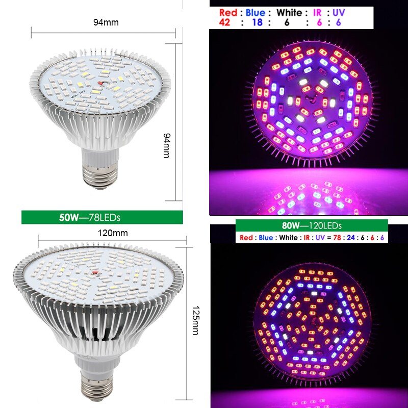 Indoor LED Grow Light E27 Lampen 80W 50W 30W 10W Volledige Spectrum Phyto Lamp Voor Planten verlichting Voor Bloemen Vetplanten Kamerplanten