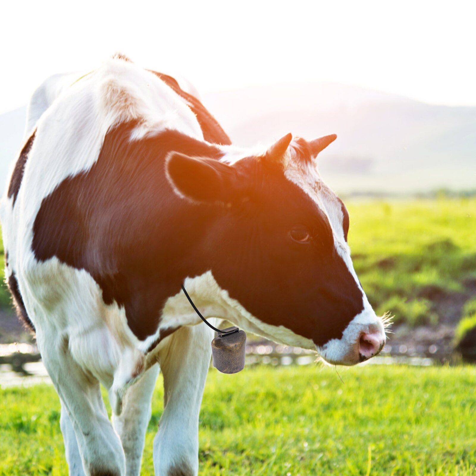 2Pcs Cattle Bells Livestock Hanging Bells Cow Bell Decorations Bell Ornaments