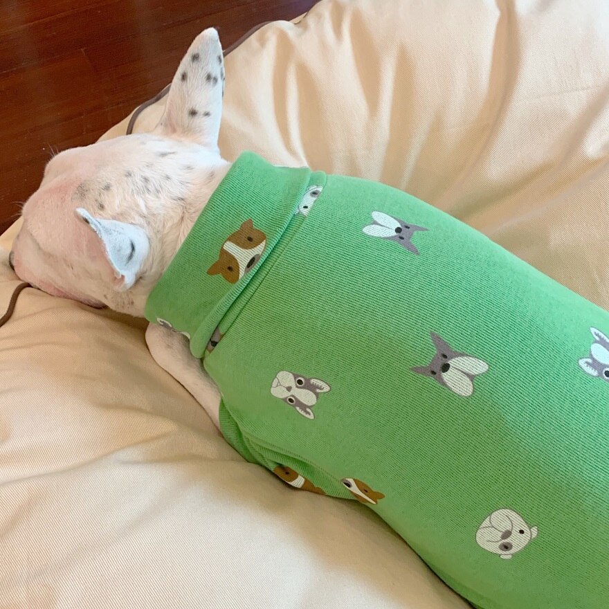 Hond Kleding Groen Kalf Patroon Hond Compassionate Hond Pyjama Geschikt Voor Grote Hond Puppy Kat Shirt