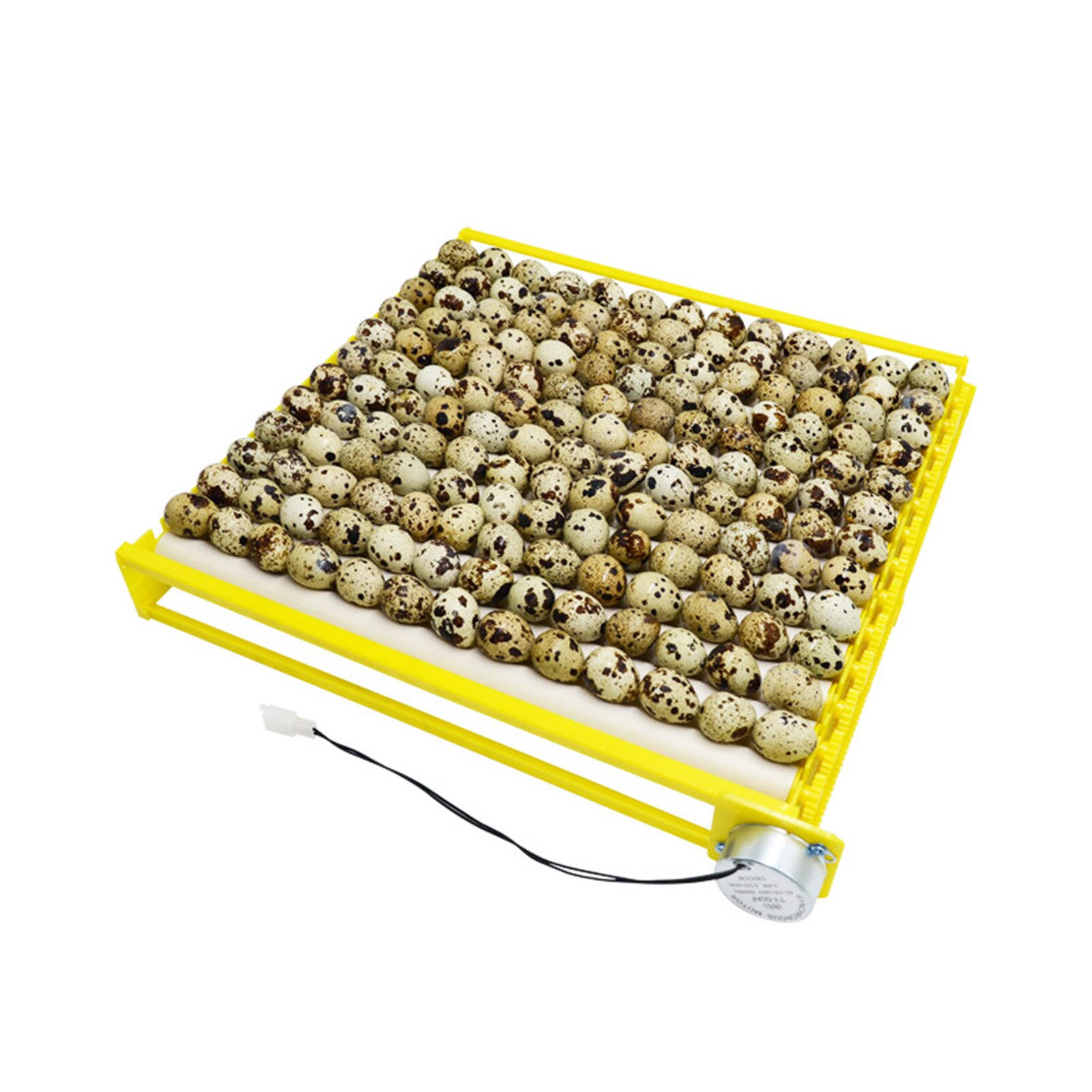 Bandeja giratoria para incubadora de huevos, equipo de incubación de aves de corral, pollos, patos y otras incubadoras de aves de corral, gira automáticamente los huevos, 56 Uds.