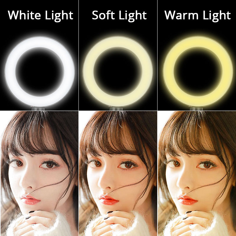 Led Ring Light 10&quot; 200pcs LED 3Color 3200K-5600K Dimmable Photography Lighting Phone Video LED Ring Lamp With Long Arm Stand