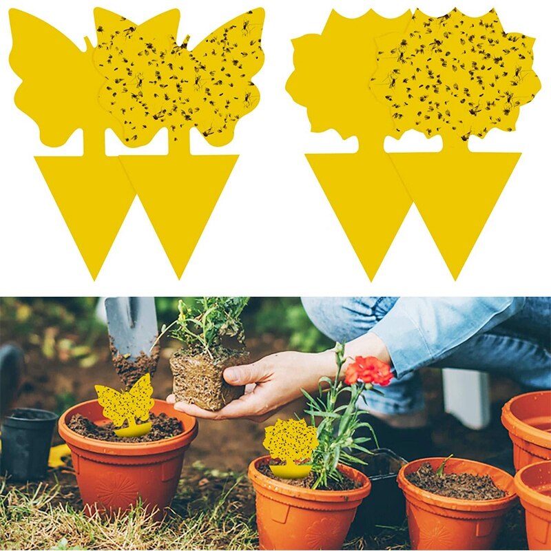 48 Stuks Plug-In Fly Trap Platen Sticker Voor Planten Op Het Balkon Tuin, bescherming Plant Uit De Mug Bladluizen & Ongedierte