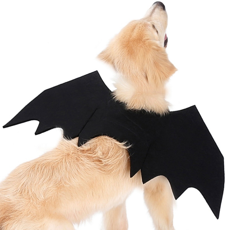 Costume Cosplay ailes de chauve-souris pour chat | Tissu feutré pour animaux domestiques, déguisement chiens chats de jeu, accessoires d'animaux mignons, vêtements d'halloween