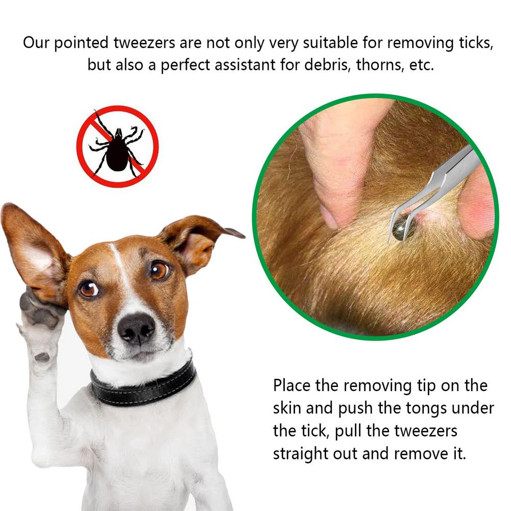 2 In 1 Stainless Steel Tick Tweezers Quick Tick Removal Tool For Cat Dog People Pet Supplies Dog Tick Removal