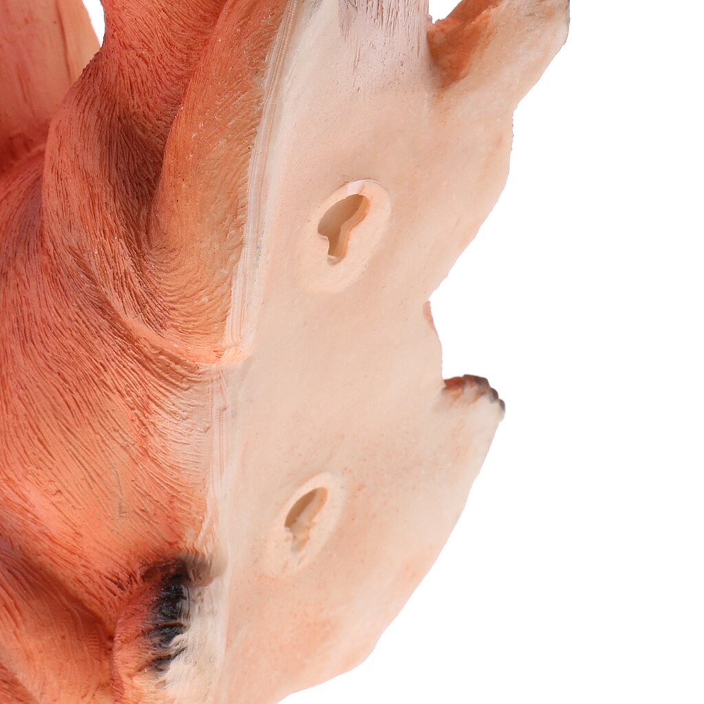 DIY Animal Resin Crafts Art Model Squirrel Figure for Home Garden Yard Decors Ornament - 21 X 8.3 X 16.2cm/ 8.3 X 3.3 X 6.4inch