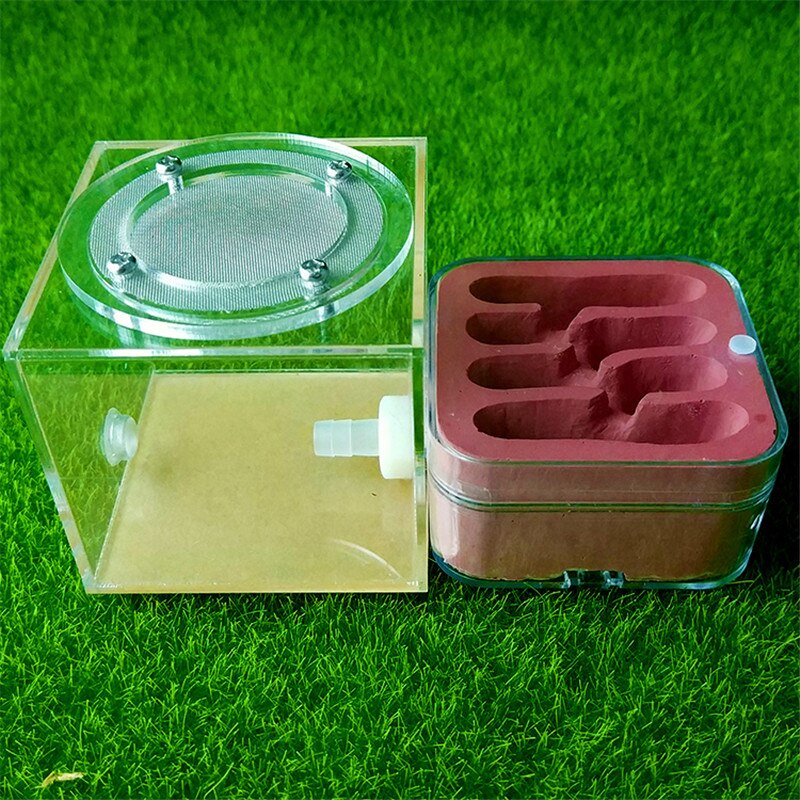 Ant Workshop Ecological acrylic Ant Nest Acrylic Sand Nest Sandcastle Home Living for Ants: type 4