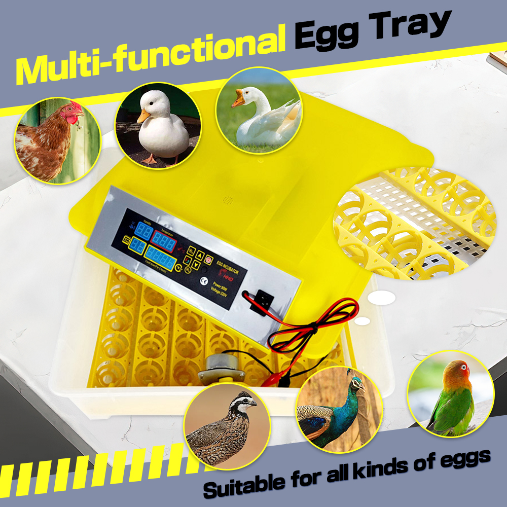Gevogelte Volautomatische Uitbroedmachine Voor 48/56 Kip Eend Ganzeneieren, Digitale 12V 110V 220V Voeding Ei Incubator