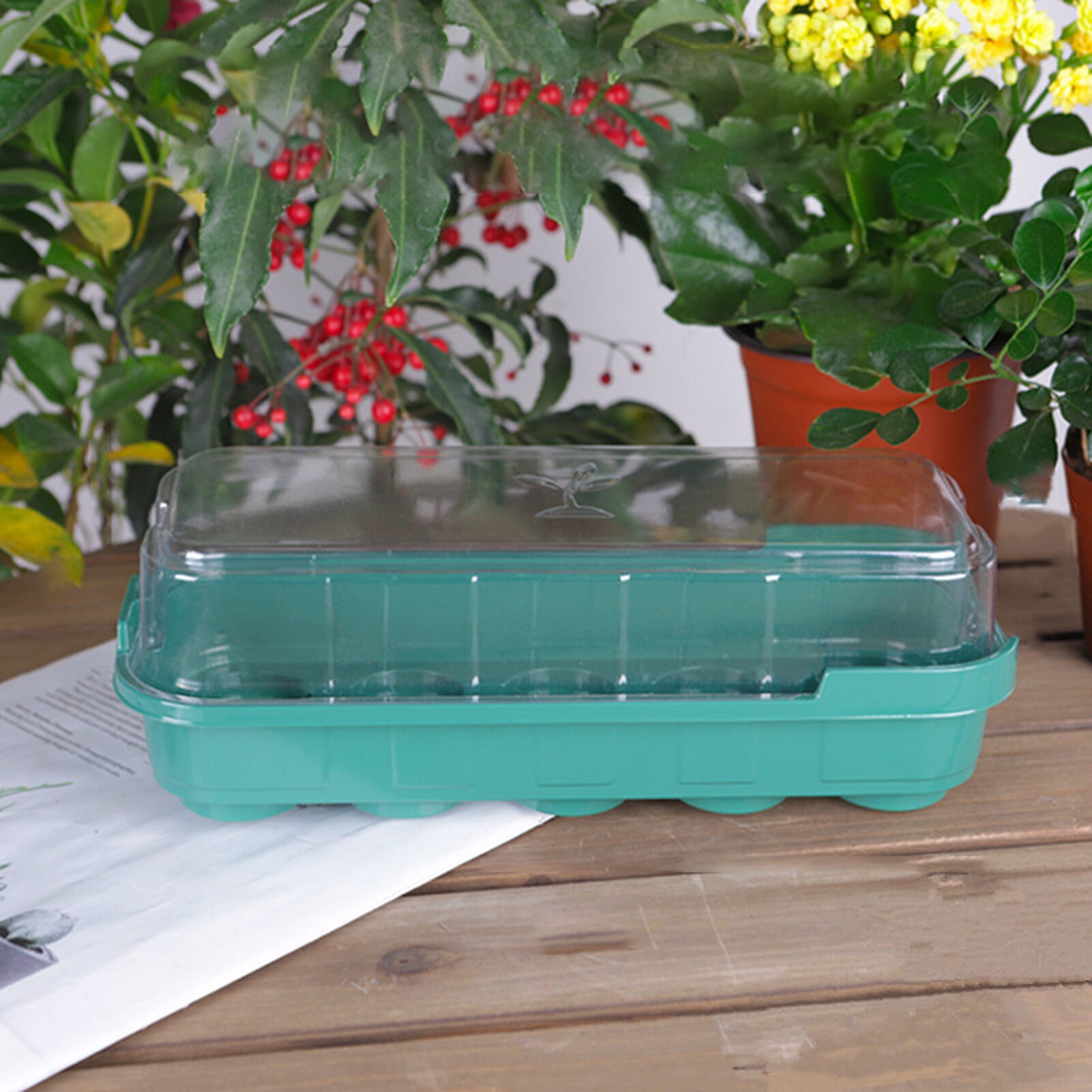 Plateau de démarrage de graines réutilisable 10 cellules, Mini plateau de démarrage de graines d&#39;intérieur en plastique avec rebord de fenêtre en dôme, Kits de serre pour graines