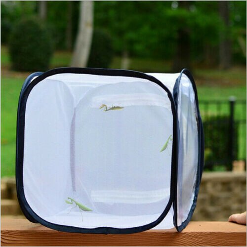 Foldable Mesh Nest Breeding Cage Insect Butterfly Insect Mesh Enclosure Cage Insect Habitat Housing: White and Black / 30x30x30