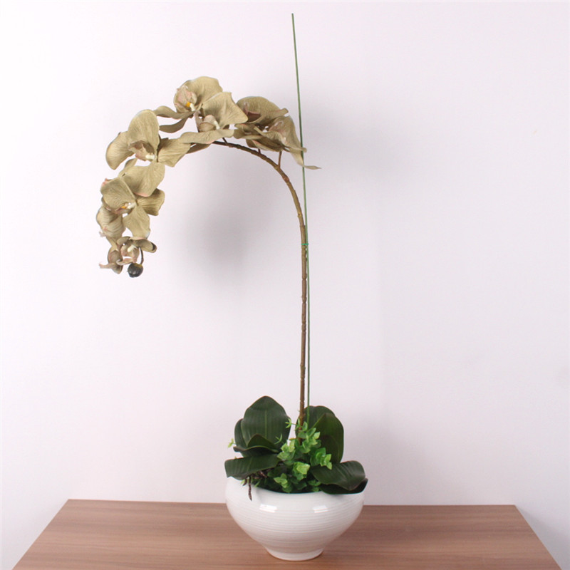 Phalaenopsis plants dedicated styling fixture gardening potted orchid plants flowers supporting wire flower rod stem 2pcs/lot