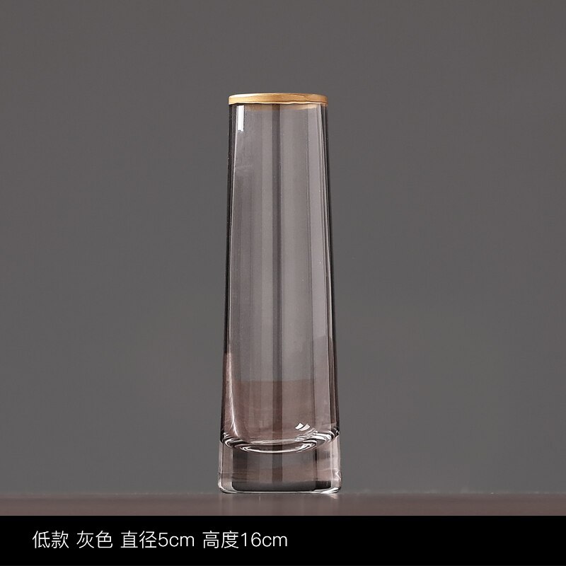 Jarrón de cristal embellecedor dorado, maceta de flor hidropónica gris, arreglo Floral, jarrones Rosa transparente, decoración del hogar, accesorios modernos: Gray 5cm x 16cm