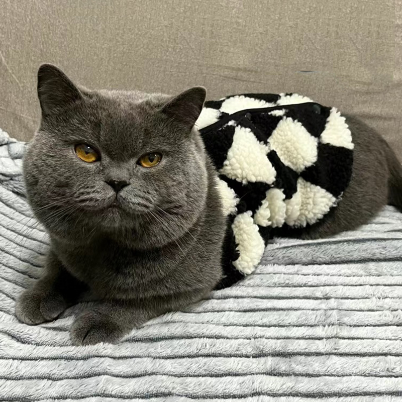 Suéter de gato Sphynx a la , cárdigan para gatos, Gotas, ropa cálida de lana para mascotas, chaquetas para perros Garfield Katten, ropa para mascotas