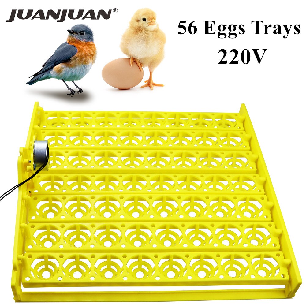 Incubadora de huevos automática, máquina de incubación de huevos de aves, pato, pollo, 56, 154, 220V, bandejas de incubadora con Motor de giro automático: 56