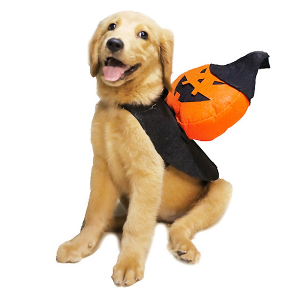 Kjæledyrhund halloween gresskar kostyme gresskar ridder med trollmann heks lue hundeklær kostyme  h88f