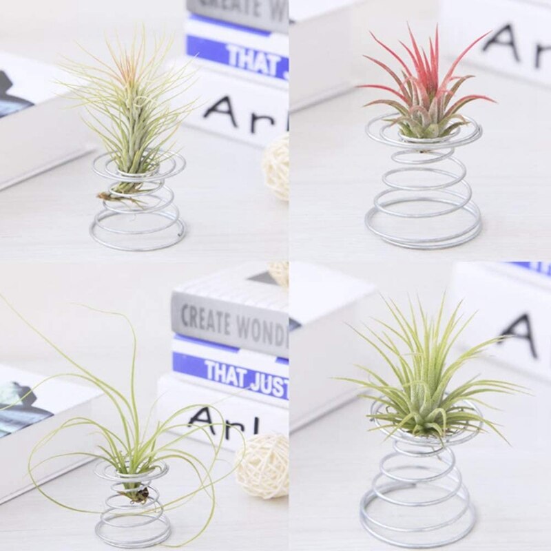 Air plant stand airplant container tillandsia holder rustfritt stål plante display rack air ananas base 12 stk