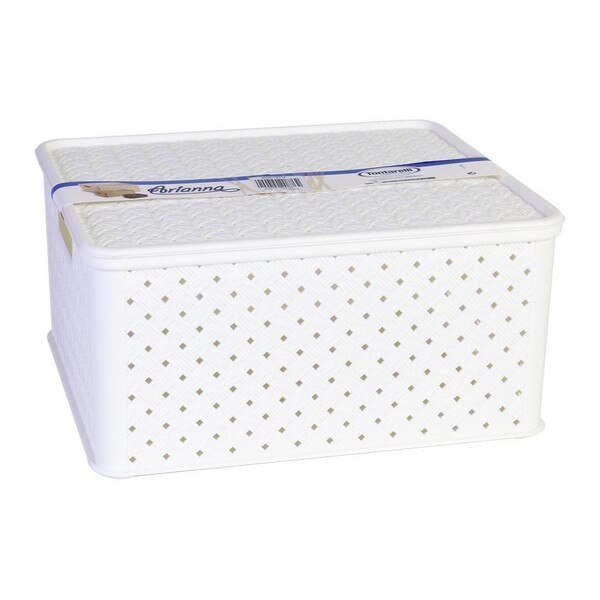 Boîte de rangement avec couvercle Tontarelli 13 L plastique (33X29x16 cm)