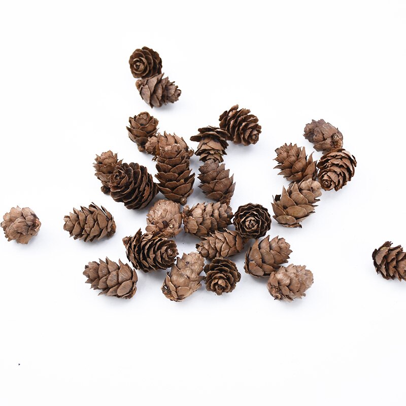 30 peças de cone de pinheiro para decoração de casa, natal, álbum de recortes, flores, plantas artificiais, atacado, caixa de presentes diy, guirlanda