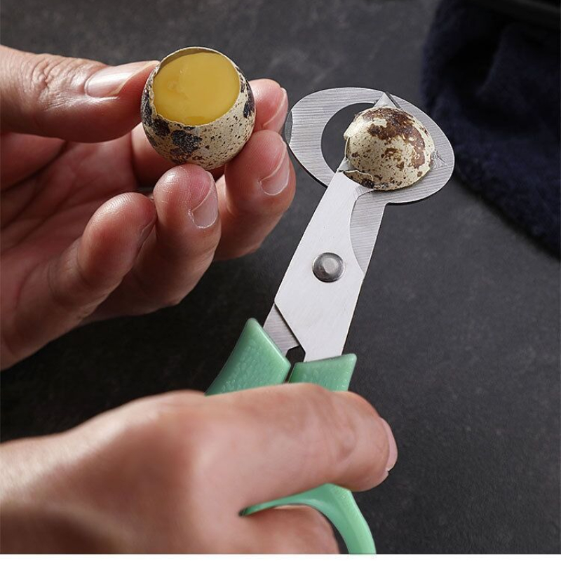 1 szt. Nożyczki robić cięcia skorupki jajek - robić jaj przepiórczych i ptasich - łatwe w użyciu i trwałe, robić otwierania jajek, łamania skorupki, dzielenia jajek