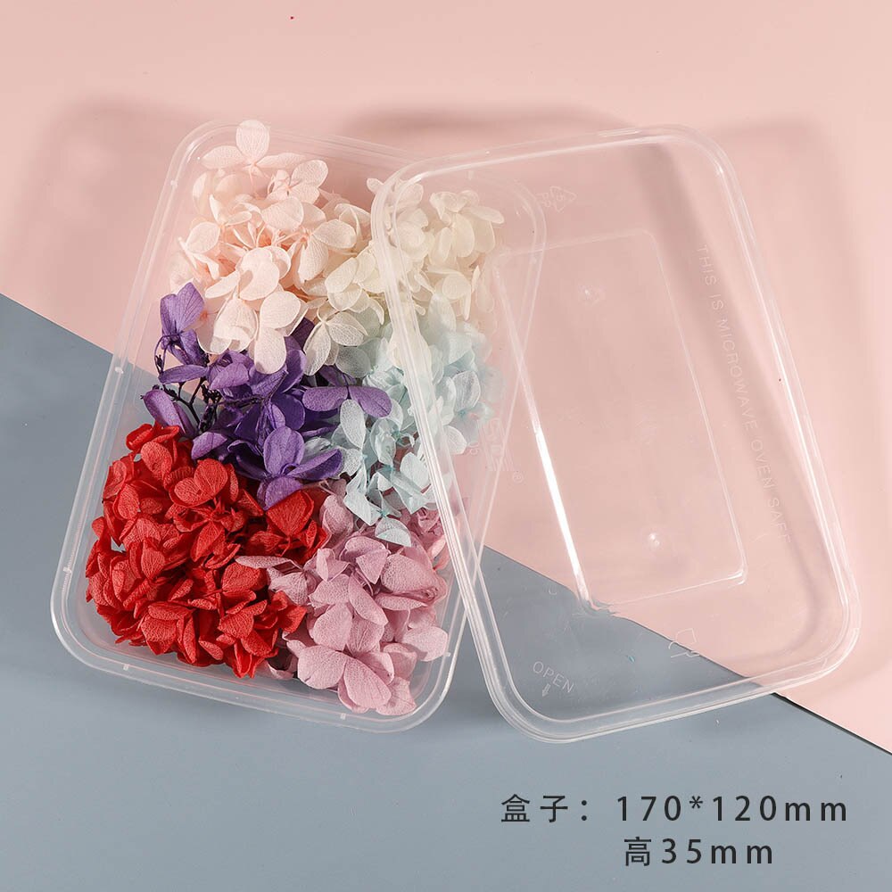 Lajitelma kuivattuja kukkia kukka täyte hartsi askartelu laatikko pakkaus uv hartsi diy riipukset korttien valmistus korut käsintehdyt kynttilät deco: 1