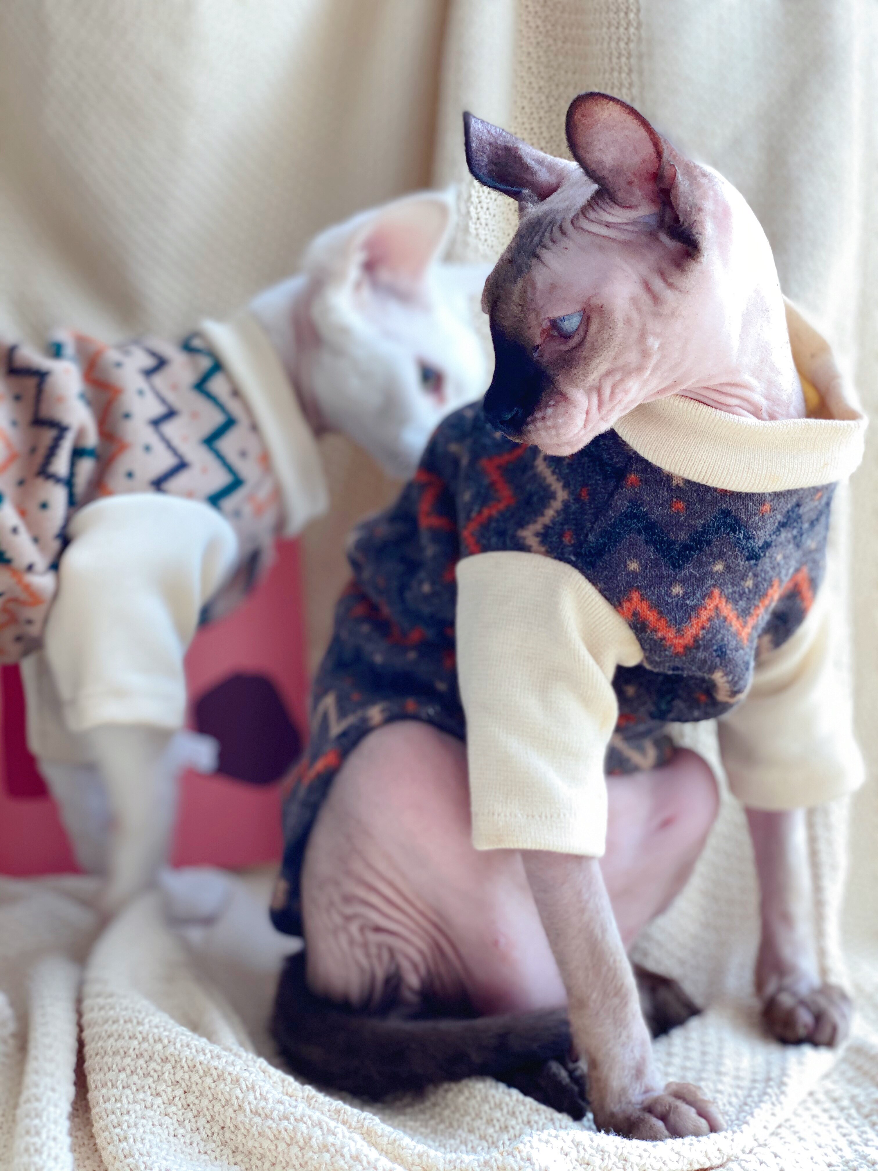 Ropa sin pelo para gatos, suéter de pierna corta para mascotas, abrigo de felpa de invierno, ropa para perros y gatos: Dark Coffee / XS