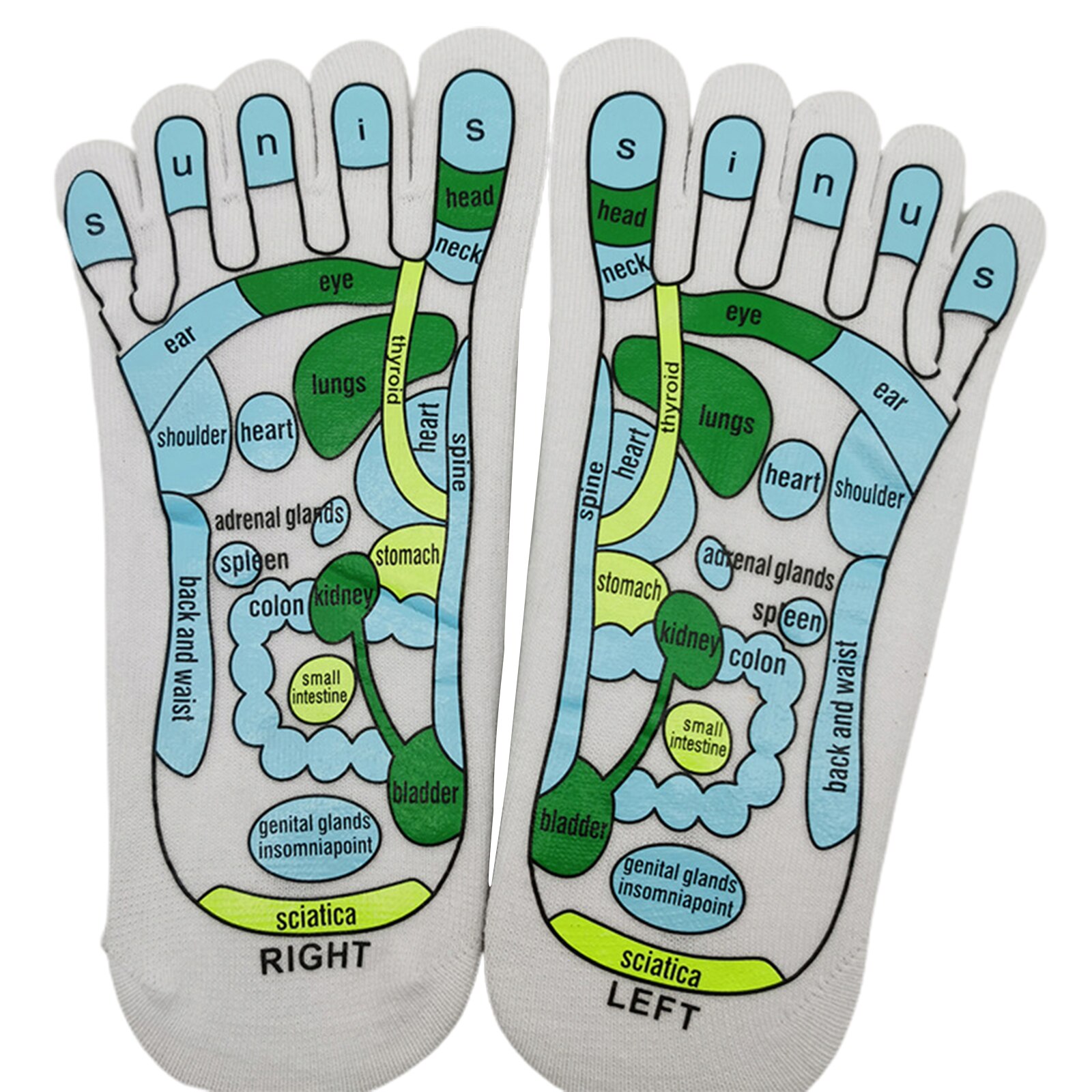 Acupressuur Reflexologie Sokken Voetmassage Reflectie Gebied Schematische Sokken Met Massage Stok Reflexologie Zones Gemarkeerd Sokken