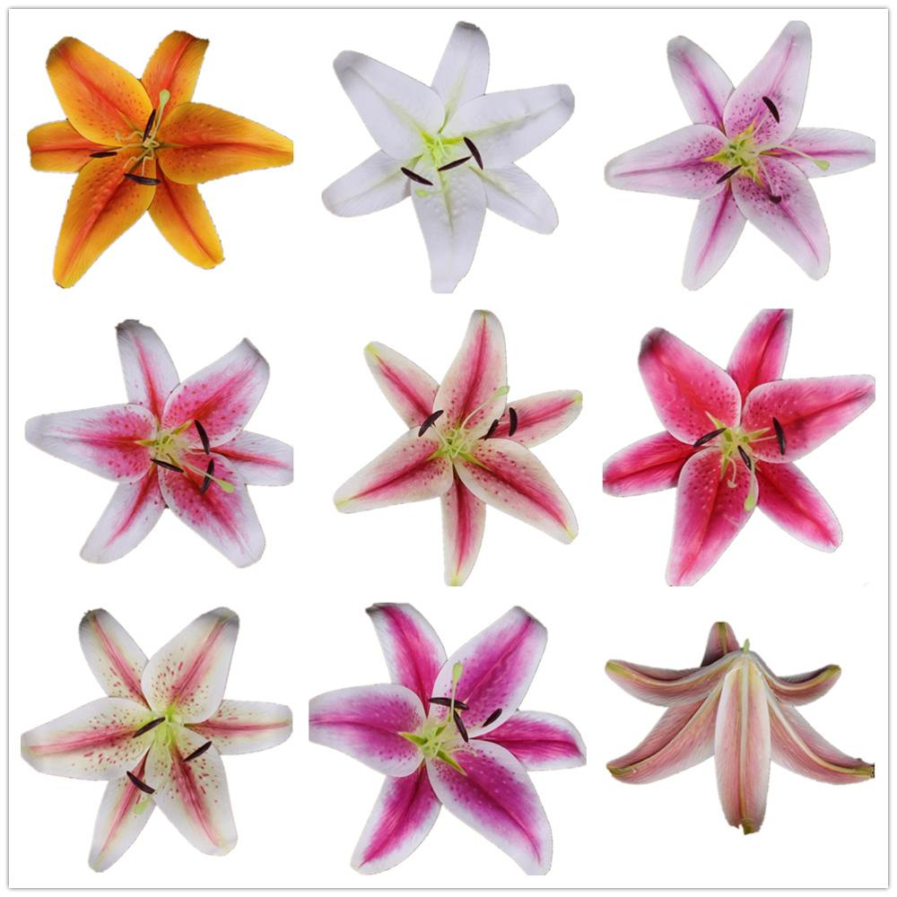 12 Uds Real toque de Azucena cabezas de flores 20cm PU Lily flor 8 colores