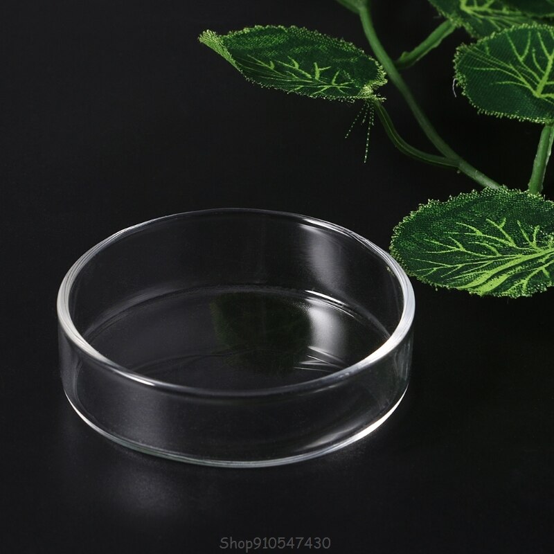 Clear Glass Shrimp Food Round Dishes Small Fish Feeding Bowl Ornamental Supplies D24 20