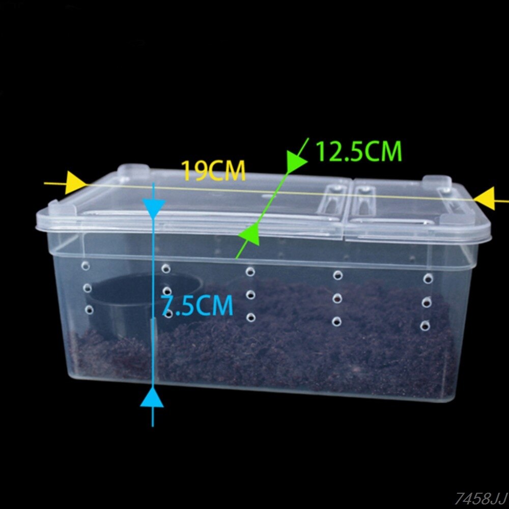 Terrarium pour reptiles, boîte en plastique transparente, Transport d&#39;insectes, élevage d&#39;aliments vivants, boîte d&#39;alimentation G03