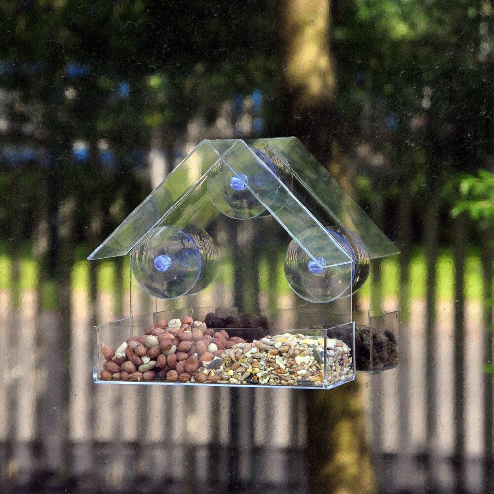 Fenêtre En Verre transparent De Mangeoire Pour Oiseaux de Table D'hôtel Graine D'arachide Suspendu D'aspiration CD