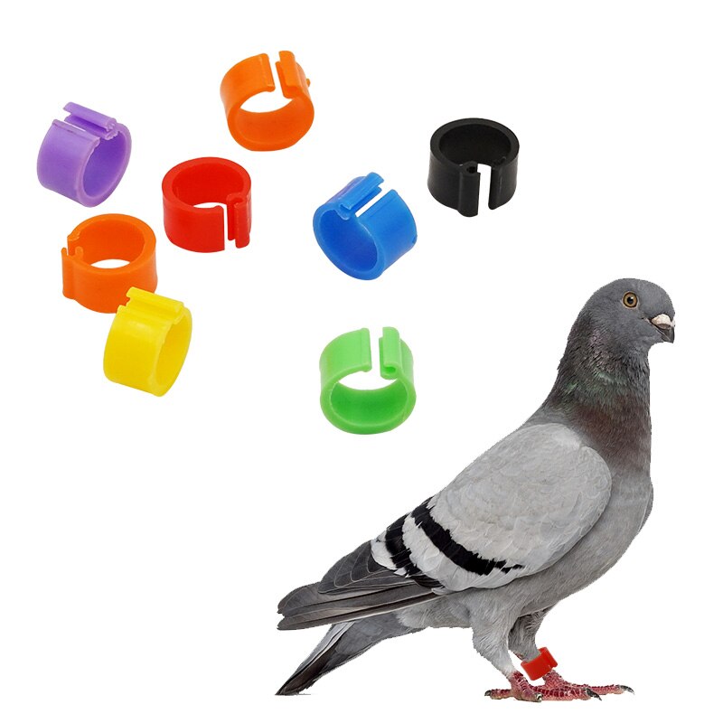 100Pcs 11Colors Birds Feet Rings Inner Diameter 8Mm Width 7Mm Plastic Clip Ring Pigeon Dove Quail Foot Ring Farm Animal Carrier