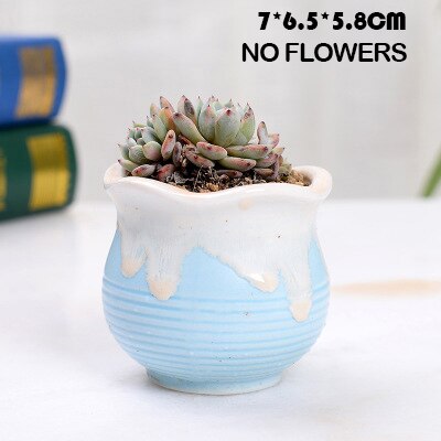 Huisdecoratie miniatuur model bloempotten glazuur asymmetrie bloemenvaas bureaudecoratie ornamenten beeldjes keramische pot: D