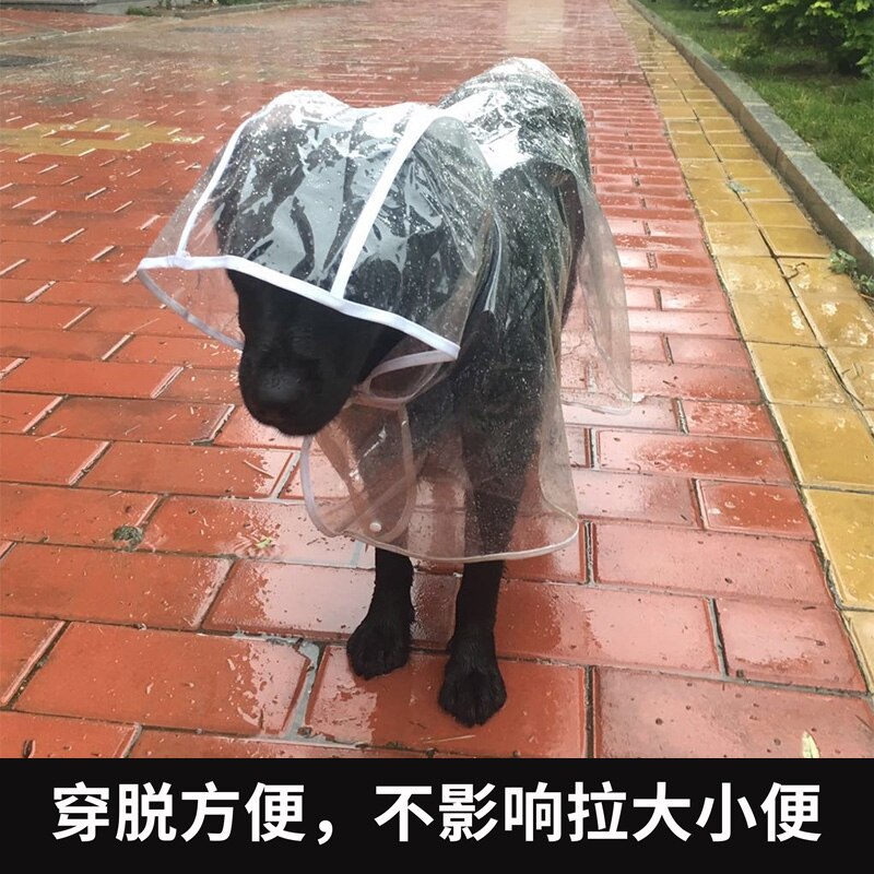 Umbrella Big Dog Raincoat Waterproof Jacket Golden Retriever Labrador Dog Clothes Accessories Ropa Perro Pet Products XX60DR