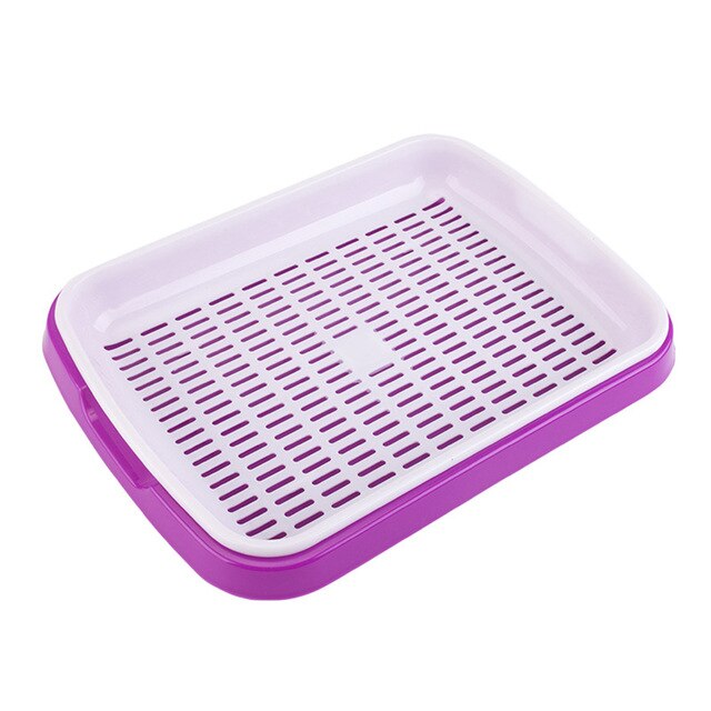 Practical Seeder Box Indoor Gardening Home PP plastic Soil-Free Wheatgrass: Purple
