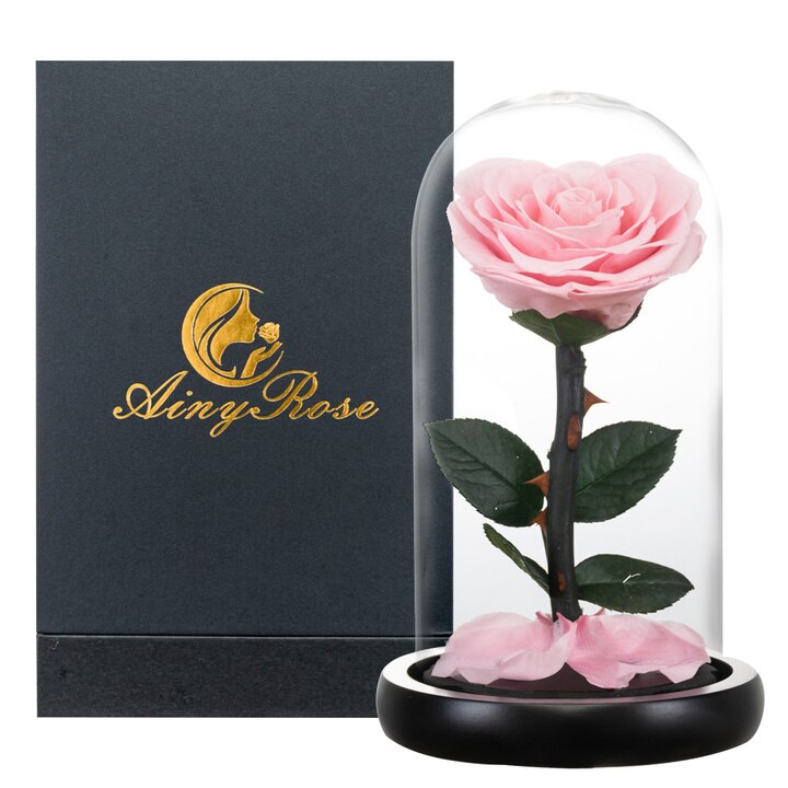 AINYROSE Heart Shaped Preserved Rose Beauty and The Beast Eternal Rose Wedding Artificial Flowers Valentine Christmas: Pink Rose w Gift Box