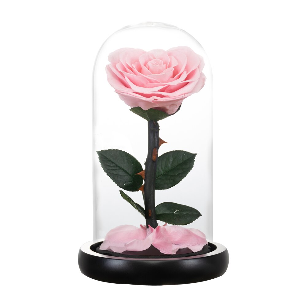 AINYROSE Heart Shaped Preserved Rose Beauty and The Beast Eternal Rose Wedding Artificial Flowers Valentine Christmas: Pink Rose Dome