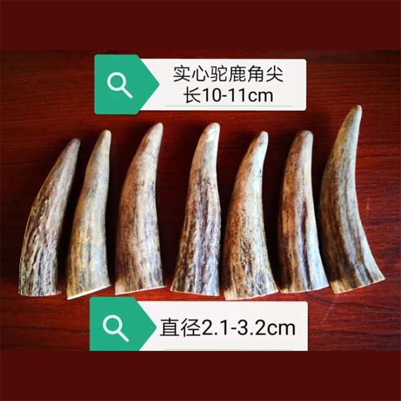 Red deer antler material antler point antler button deer horn section bar horn material knife handle material pendant angle mate