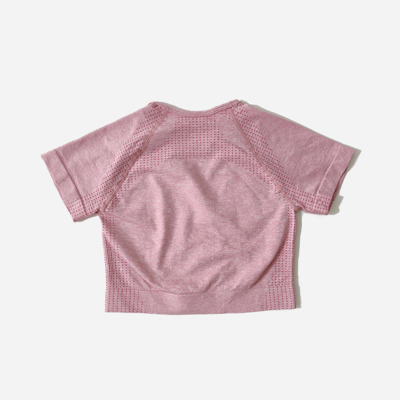 Conjunto de Yoga sin costuras para mujer, Top corto, camisa de manga corta, pantalones cortos de Fitness, ropa de entrenamiento para mujer, ropa de gimnasio, conjunto deportivo de Yoga