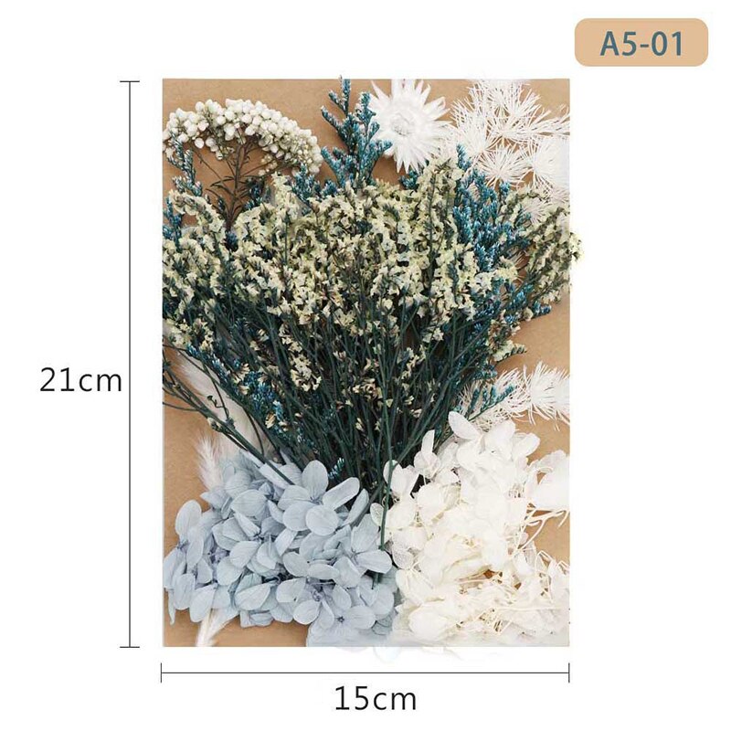 Fleur pressée mélangé fleurs séchées matériel pour bricolage aromathérapie bougies carte de voeux époxy artisanat boucles d'oreilles FAS6: Marron