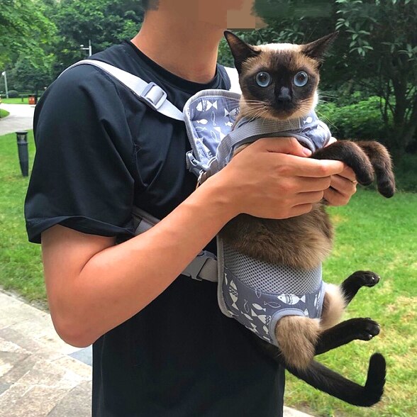 Litter Kitty Pouch Cat Carrier Box Shoulder Supplies Cat Box Travelling Pet Bolsos De Gato Puppy Carrier Produtos KK60MX