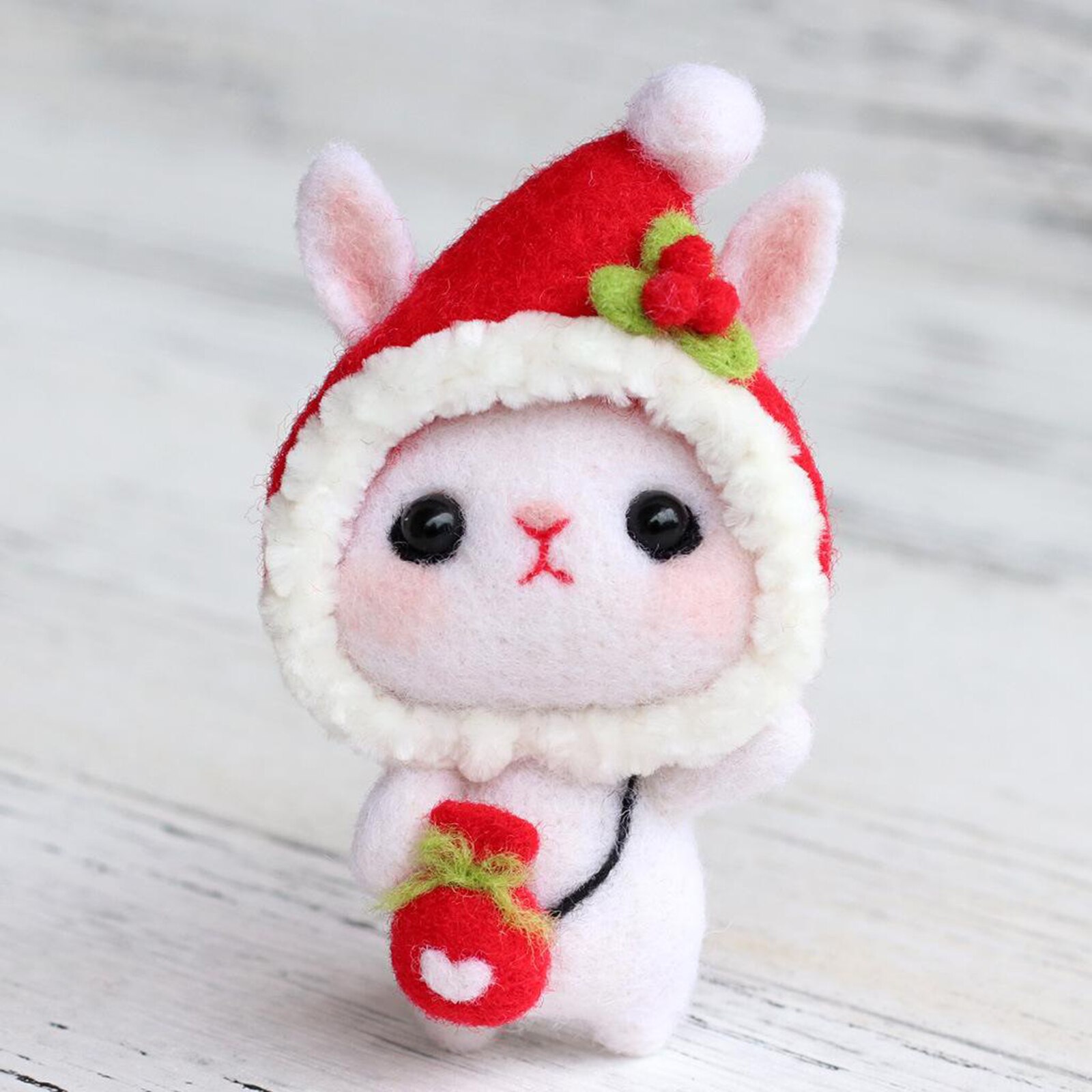 Needle Felting Kit for Beginners Kids Adults, Needle Felting Starter Kit with Instructions, Wool Felting Supplies for Christmas: Red