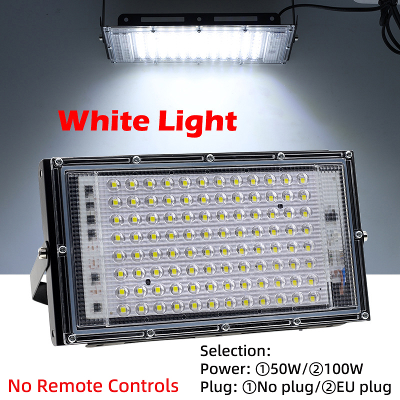 LED Floodlight 50W 100W AC 220V Outdoor Floodlight RGB Colourful Spotlight Outdoor IP65 Waterproof Led Spotlight for Garden: SKY BLUE / Cold White