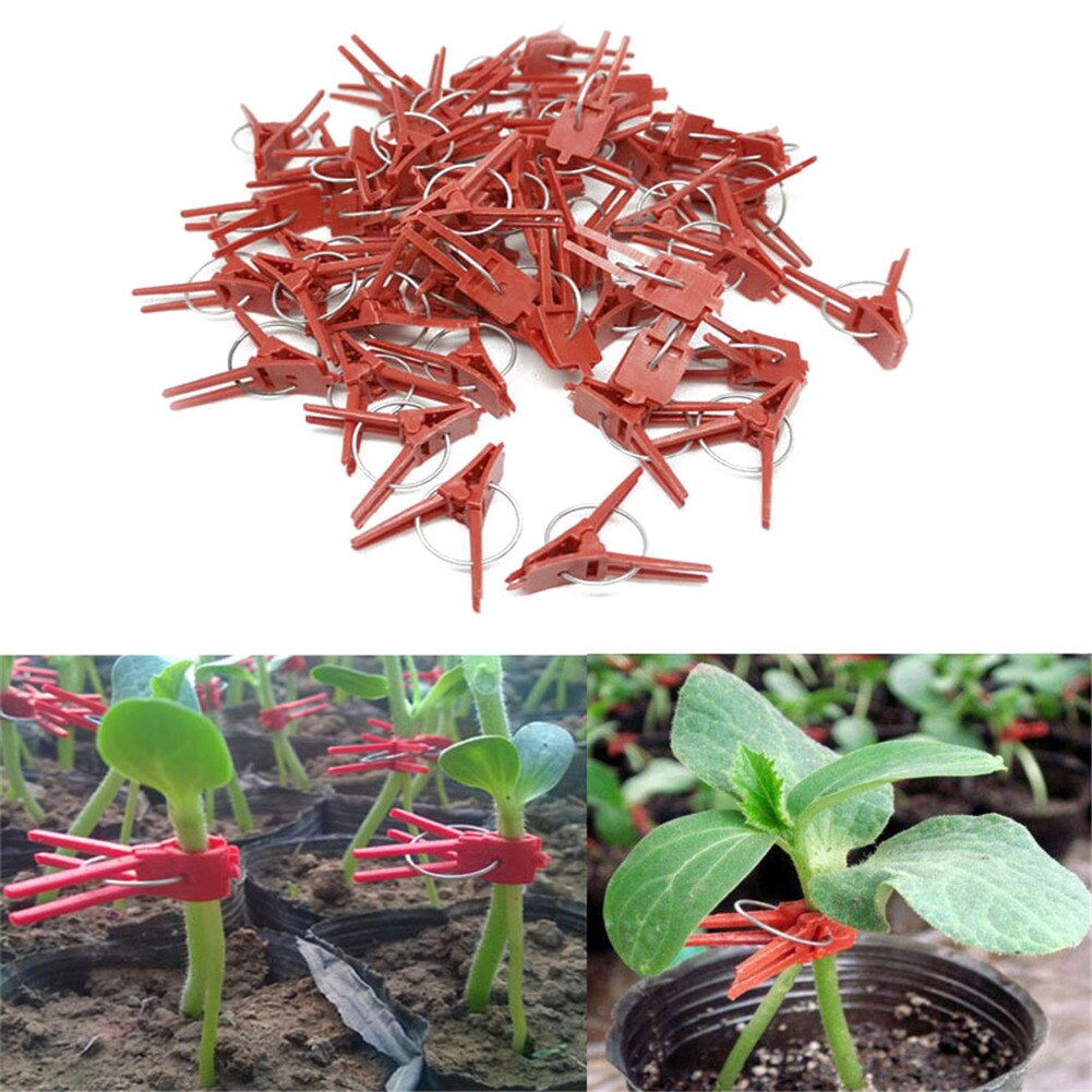 50pc Plastic Plant Support Clips Clamps For Plants Hanging Vine Garden Greenhouse Vegetables Tomatoes Clips Garden Graft Clip