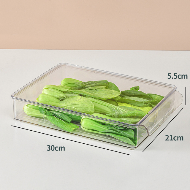 Containers to Organize the Refrigerator Storage Unit for Kitchen Transparent Plastic Drawer Flip Cover Boxes Kitchen Accessories: style 4 Big Short